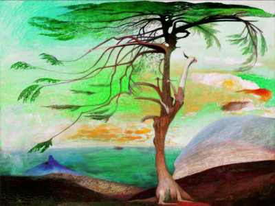 The Lonely Cedar