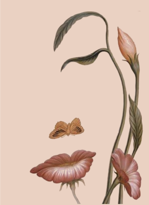 Flower Face