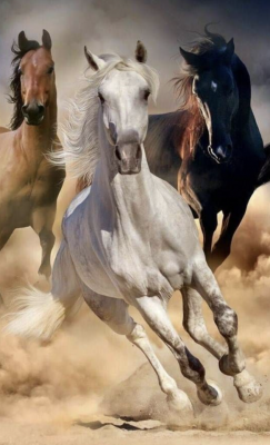 Galloping Horses