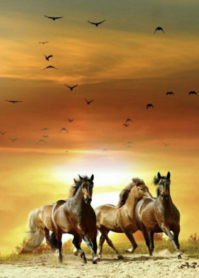 Horses