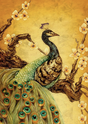 Peacock rooster