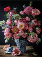 Peony in a vase