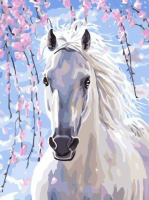 White horse