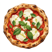 Buffalo mozzarella pizza