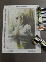 The lonely swan