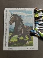 Black stallion