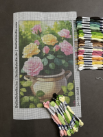 Colorful Roses