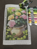 Colorful Roses